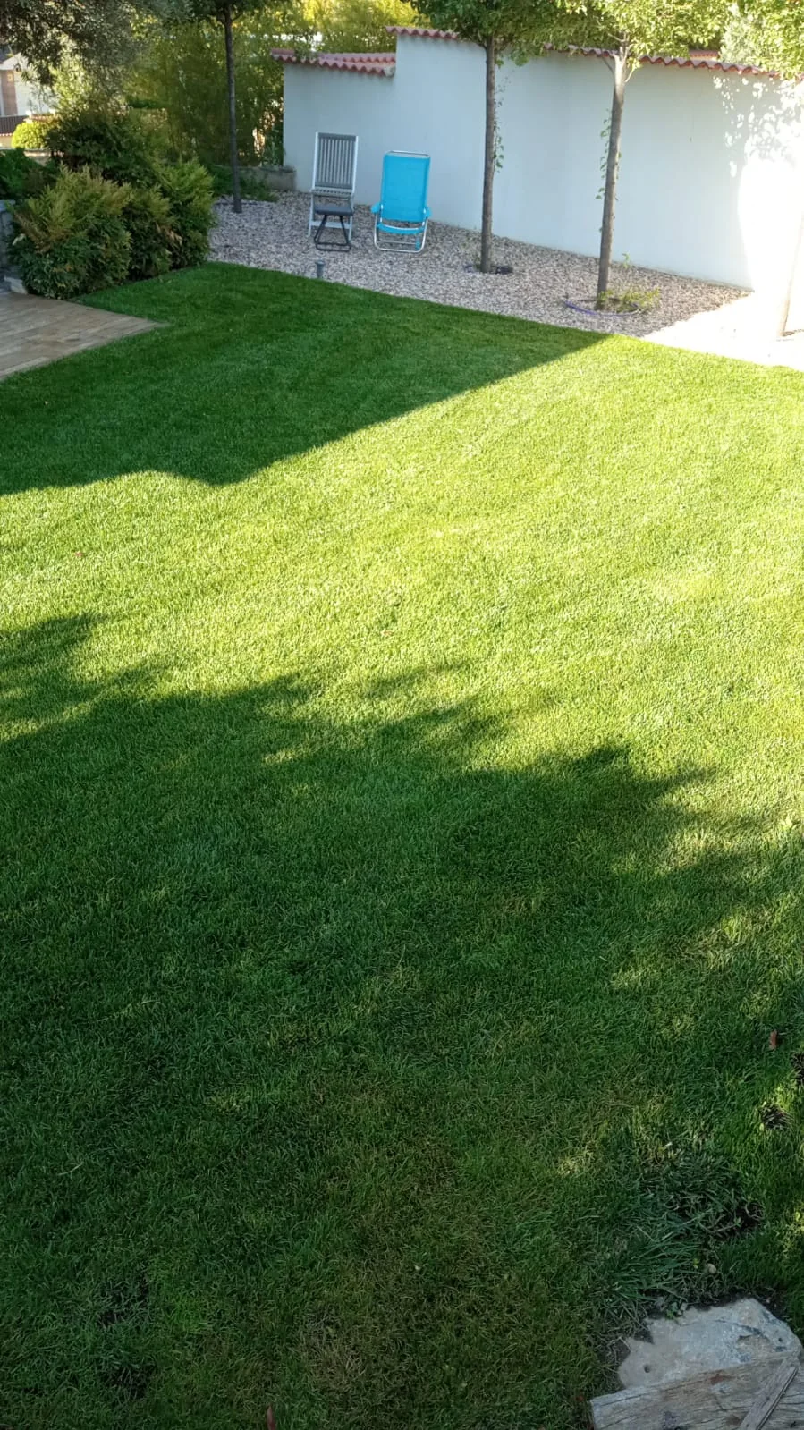 Césped natural recién cortado junto a la vivienda