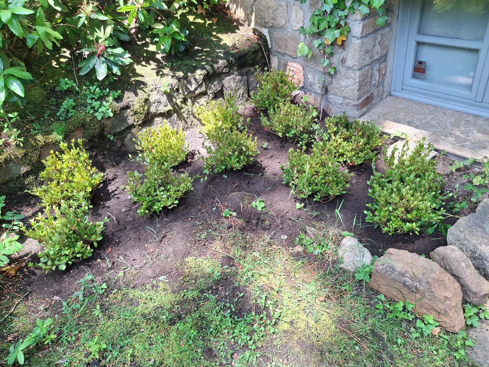 Parterre recién plantado junto a una casa de piedra