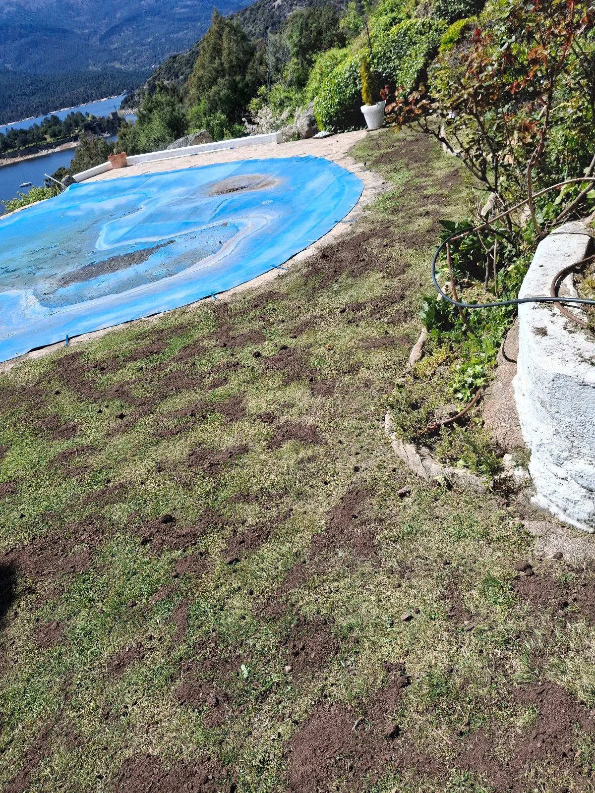 Terreno preparado alrededor de la piscina
