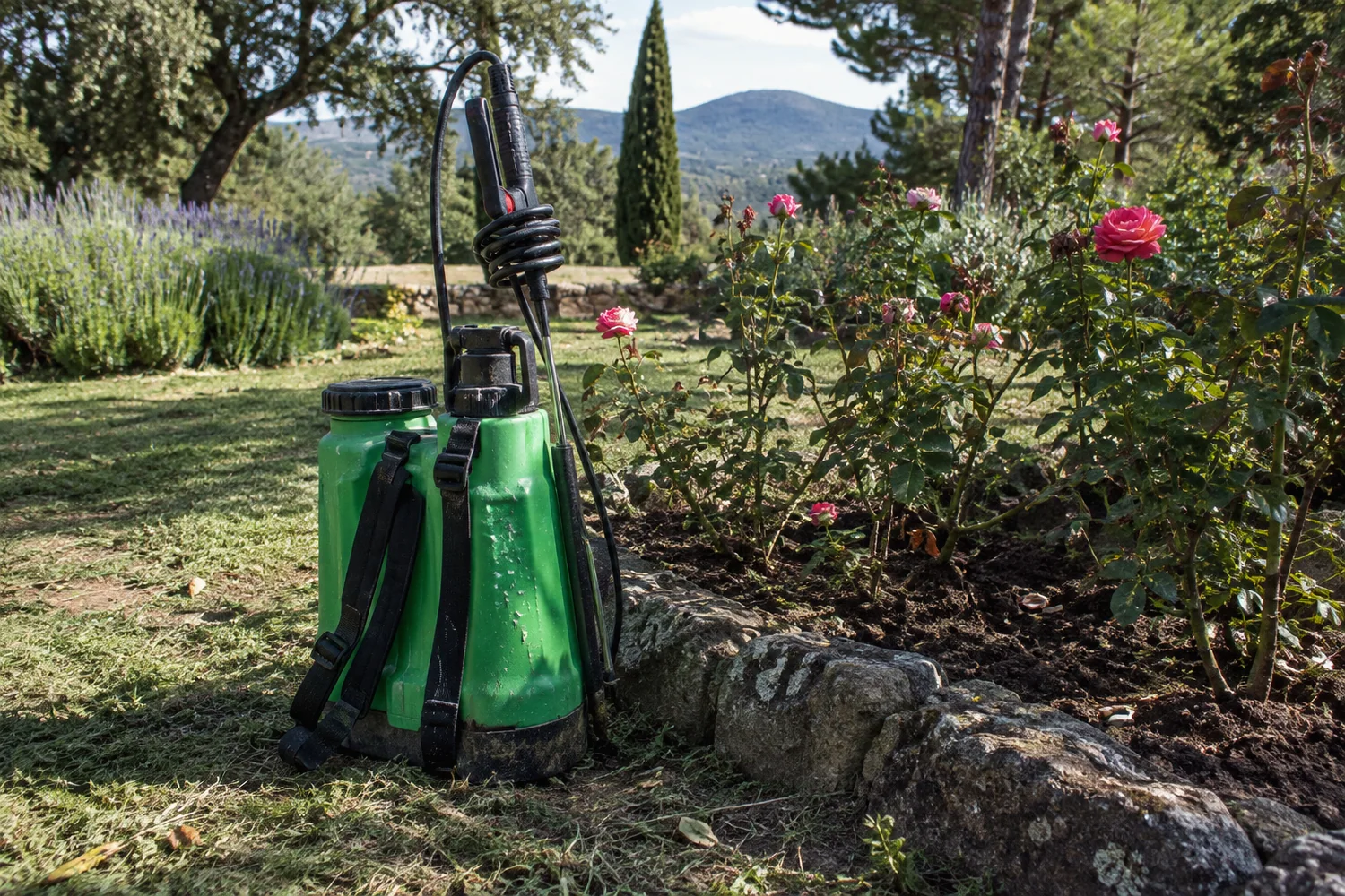 Pulverizador de mochila junto a un parterre de rosales