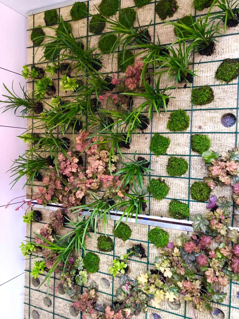 Jardín vertical de interior con plantación viva