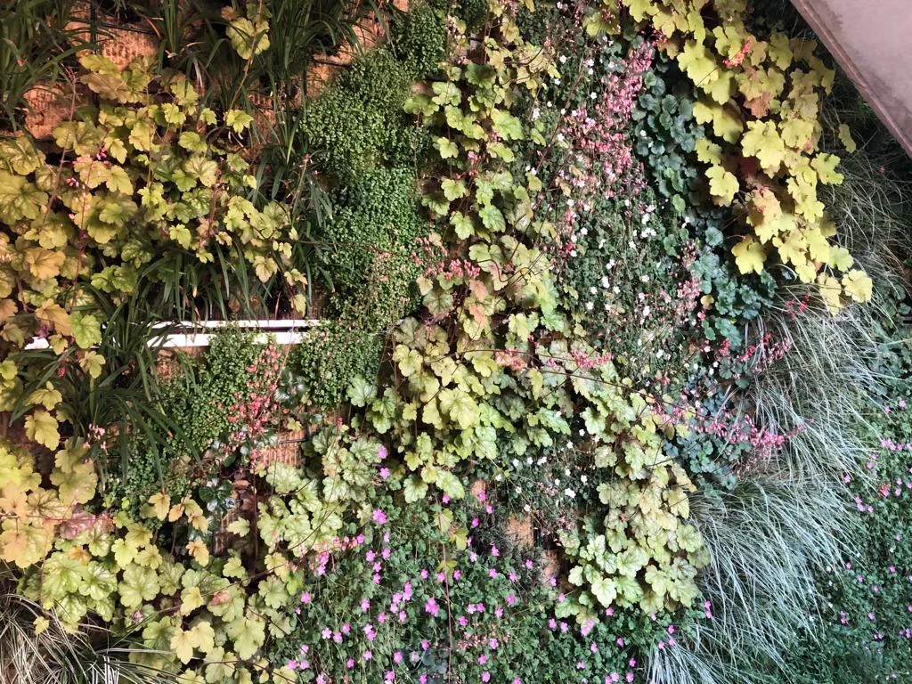 Jardín vertical en flor instalado por Jardinería Hermanos Baena